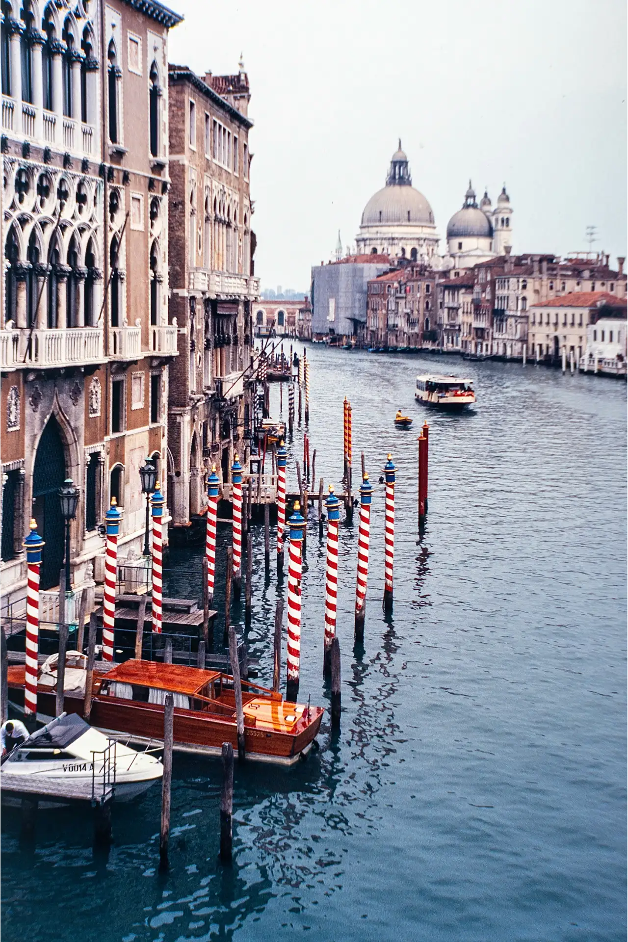 Venecia